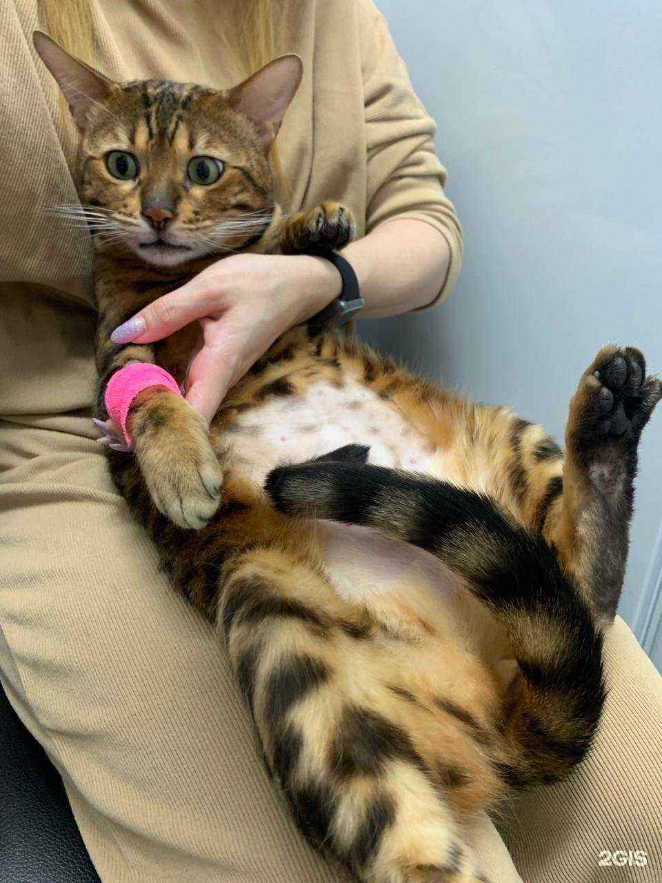 Отзывы на компанию Слон в Краснодаре c фото