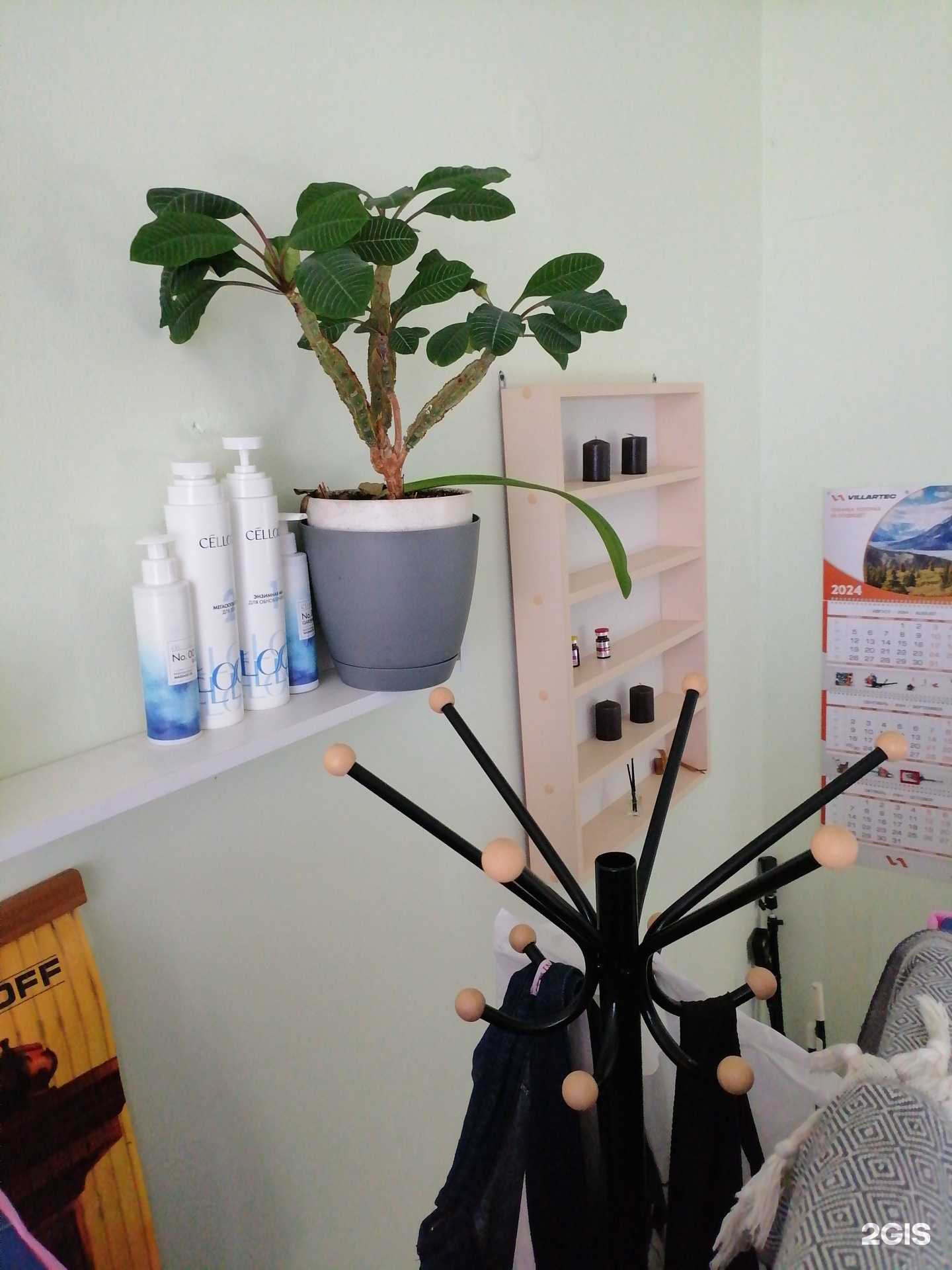 Отзывы на компанию Студия массажа лица и тела в г. Сортавала c фото