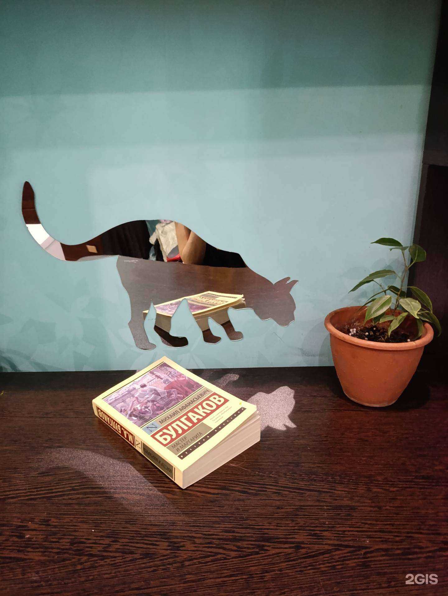 Отзывы на компанию Disidi в Челябинске c фото