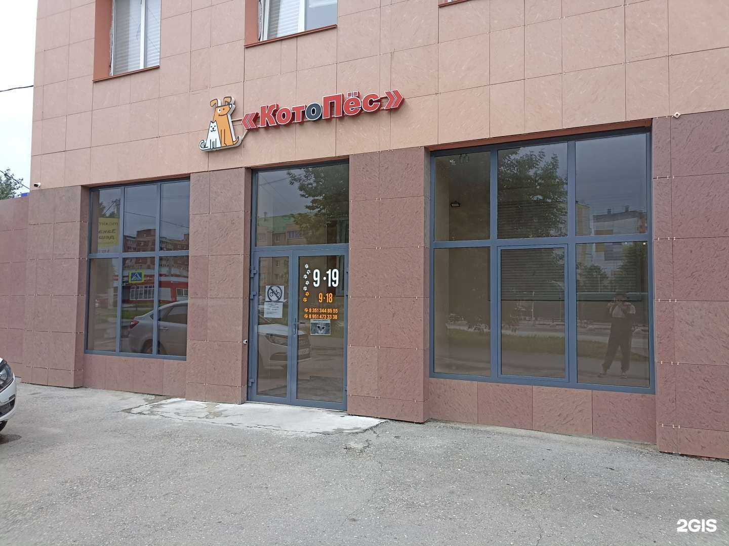 Отзывы на компанию КотоПес в Южноуральске c фото