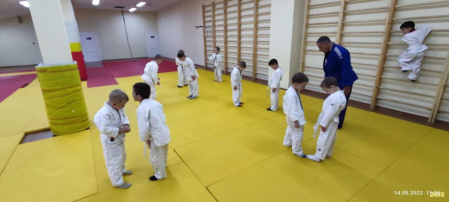Отзывы на компанию Спортивная секция по дзюдо и самбо в г. Кисловодск c фото