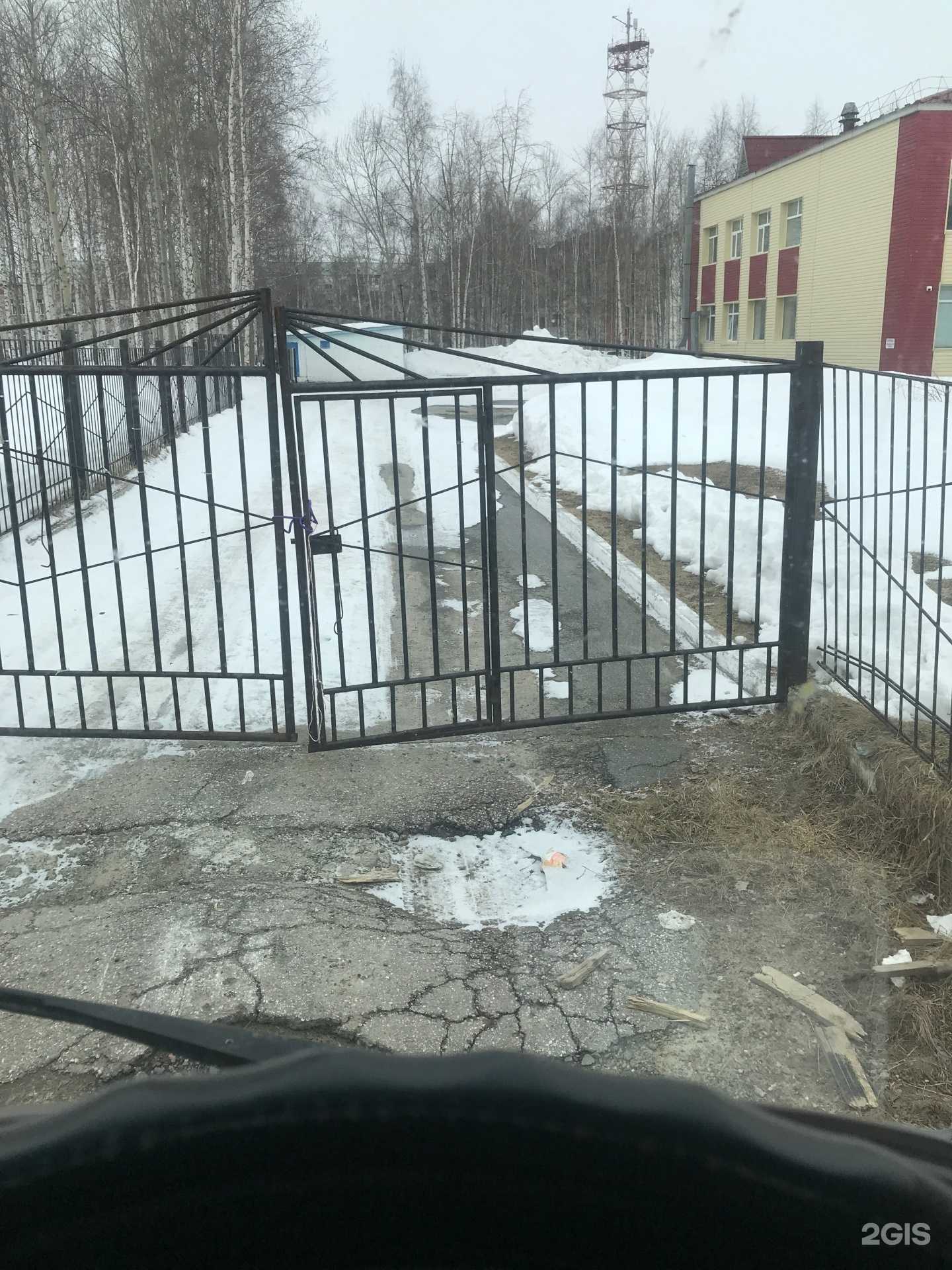 Отзывы на компанию Чебурашка в Нефтеюганске c фото