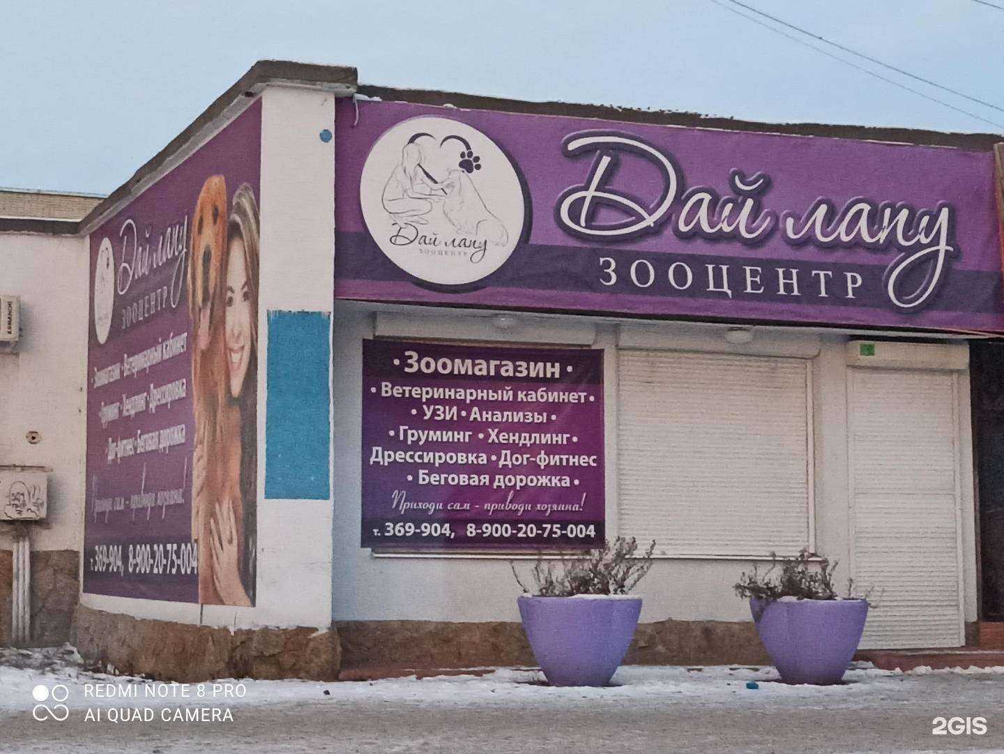 Отзывы на компанию Дай лапу в г. Каменск-Уральский c фото