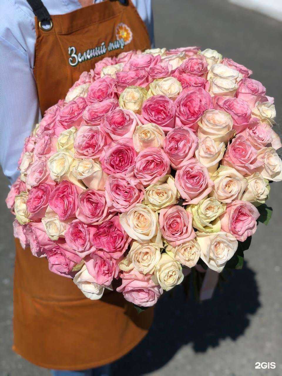 Отзывы на компанию Зеленый мир в г. Йошкар-Ола c фото