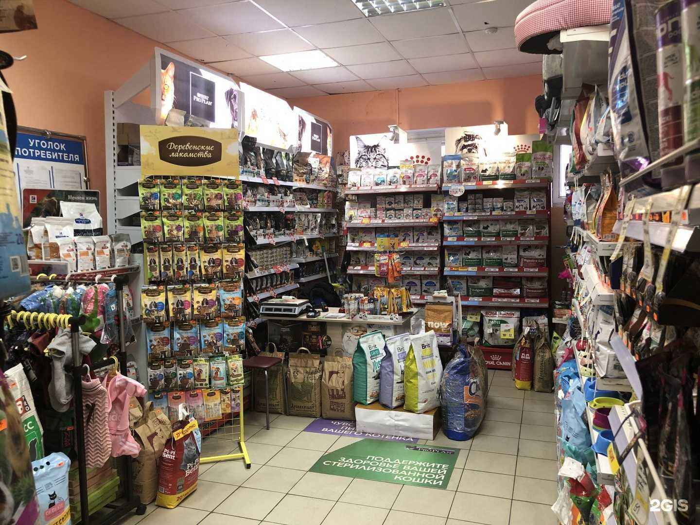 Отзывы на компанию Два кота в Архангельске c фото