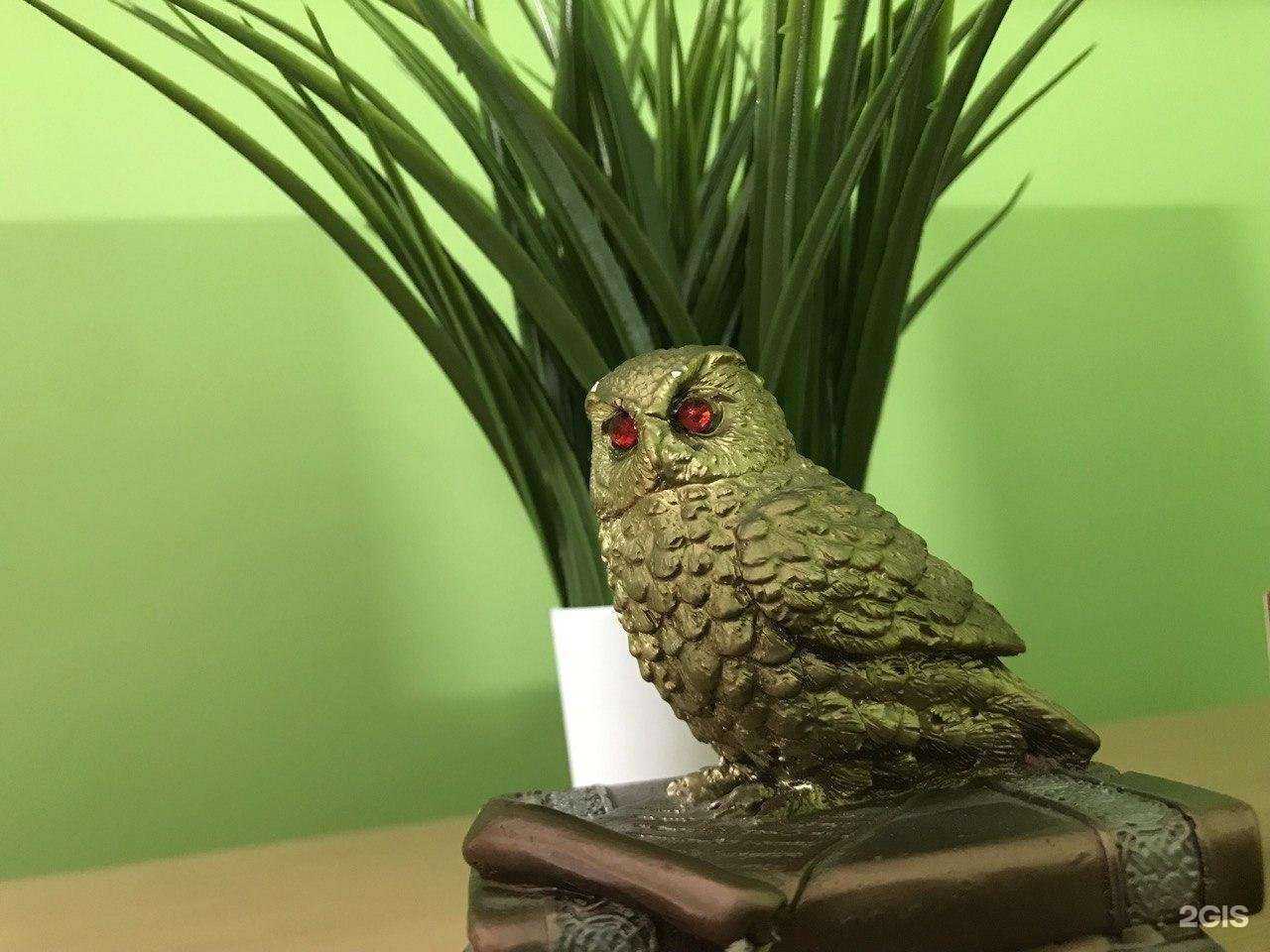 Отзывы на компанию PSK-центр в Новошахтинске c фото