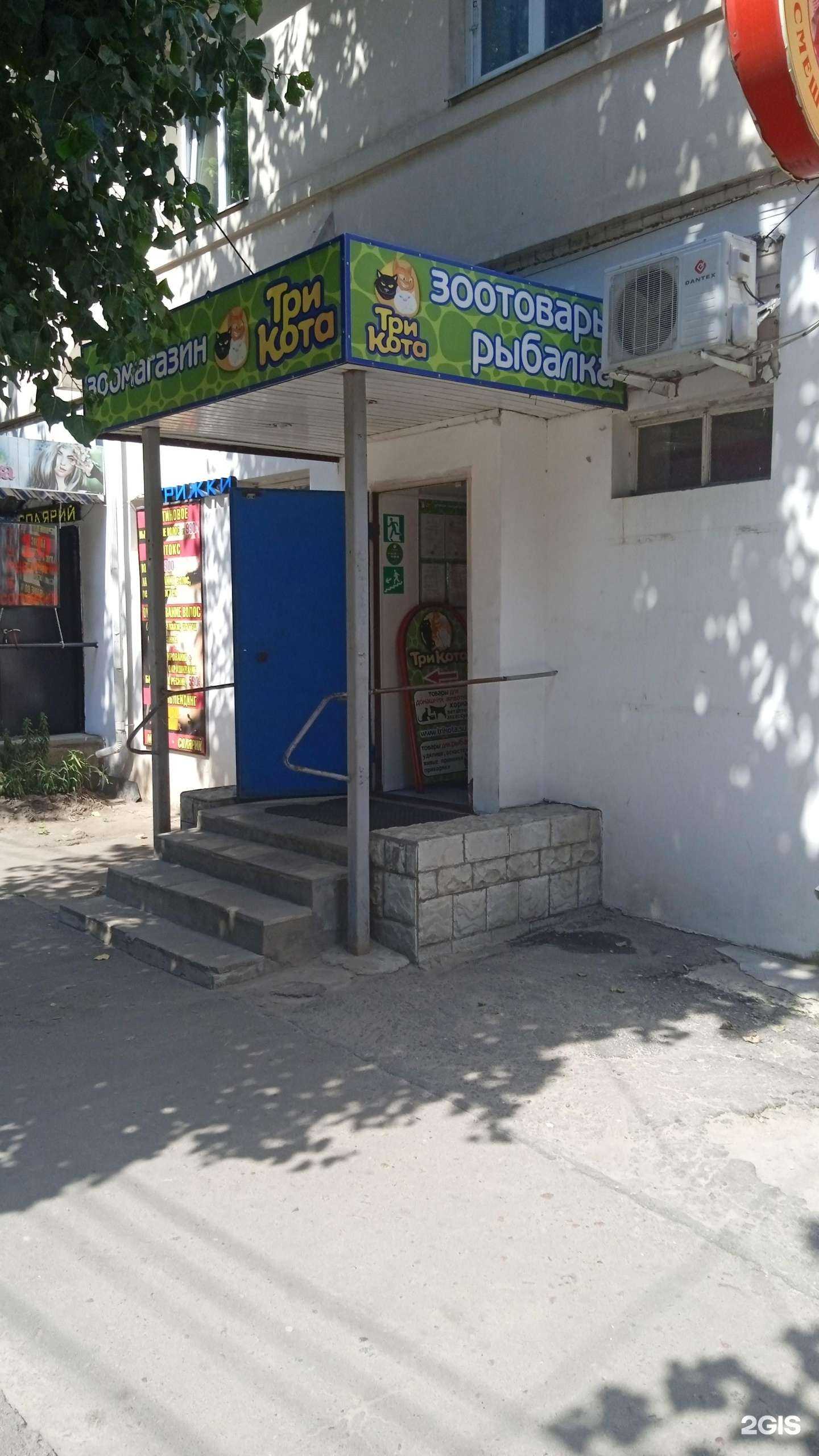 Отзывы на компанию Три кота в г. Воронеж c фото