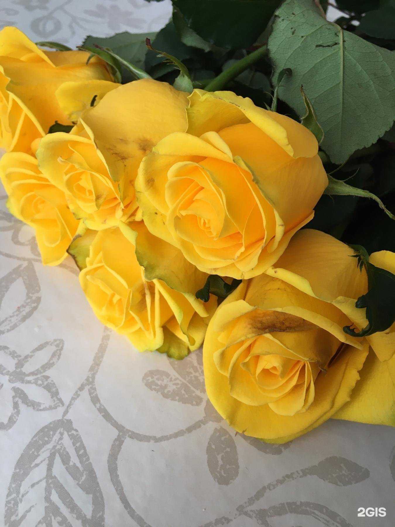 Отзывы на компанию Самцветок №1 в г. Самара c фото