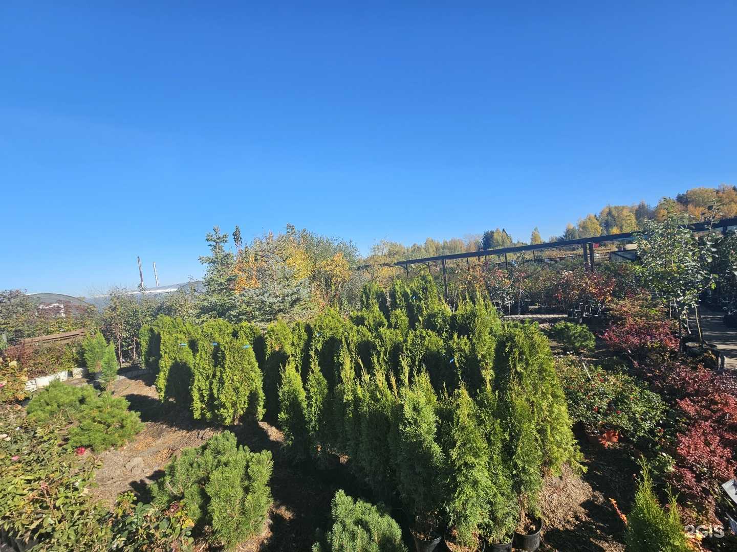 Отзывы на компанию Экосад18 в Ижевске c фото