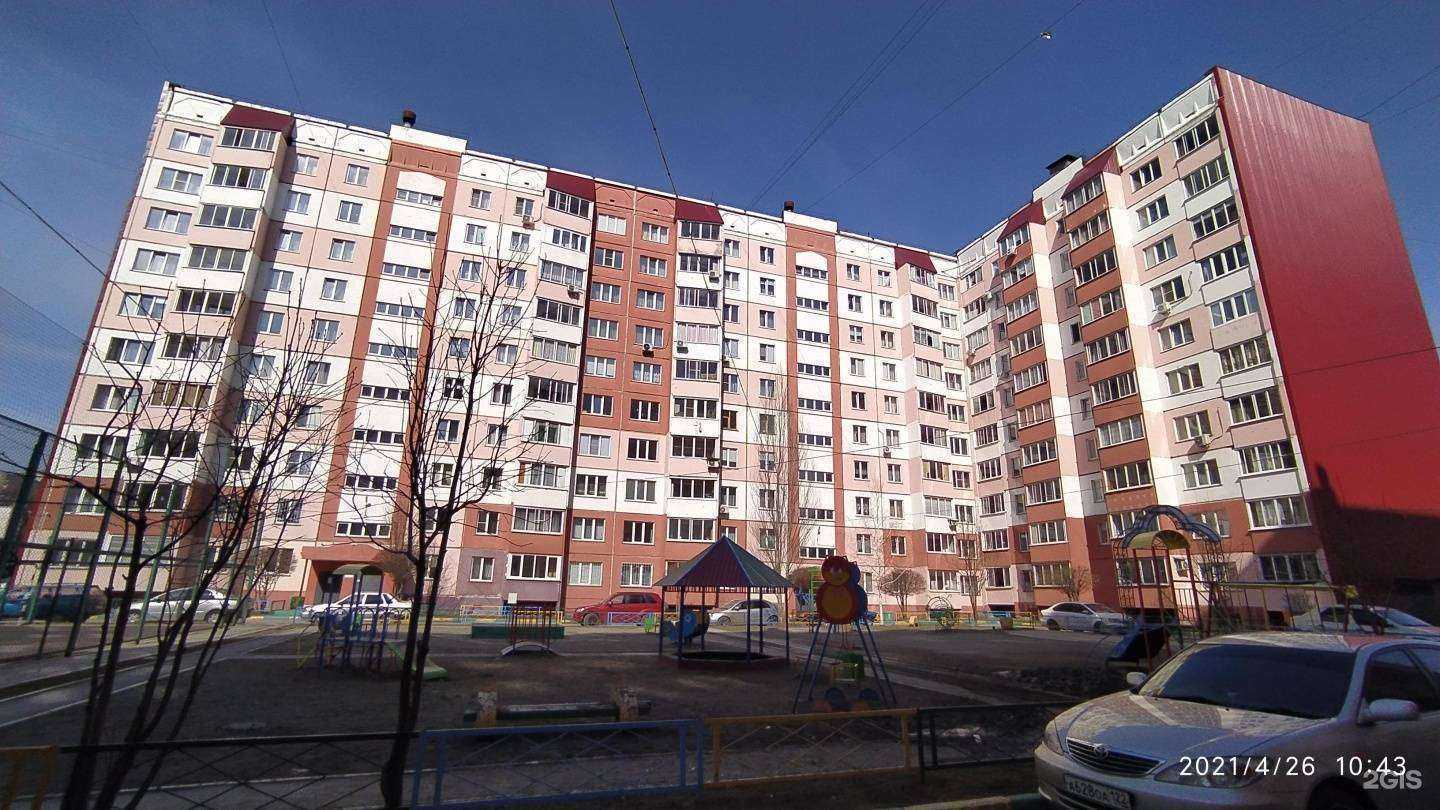 Отзывы на компанию Умный кот в г. Барнаул c фото