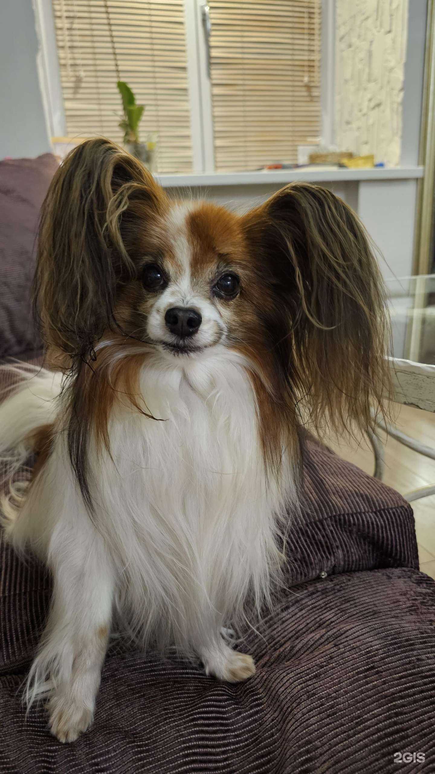 Отзывы на компанию Abc.ru в г. Новосибирск c фото