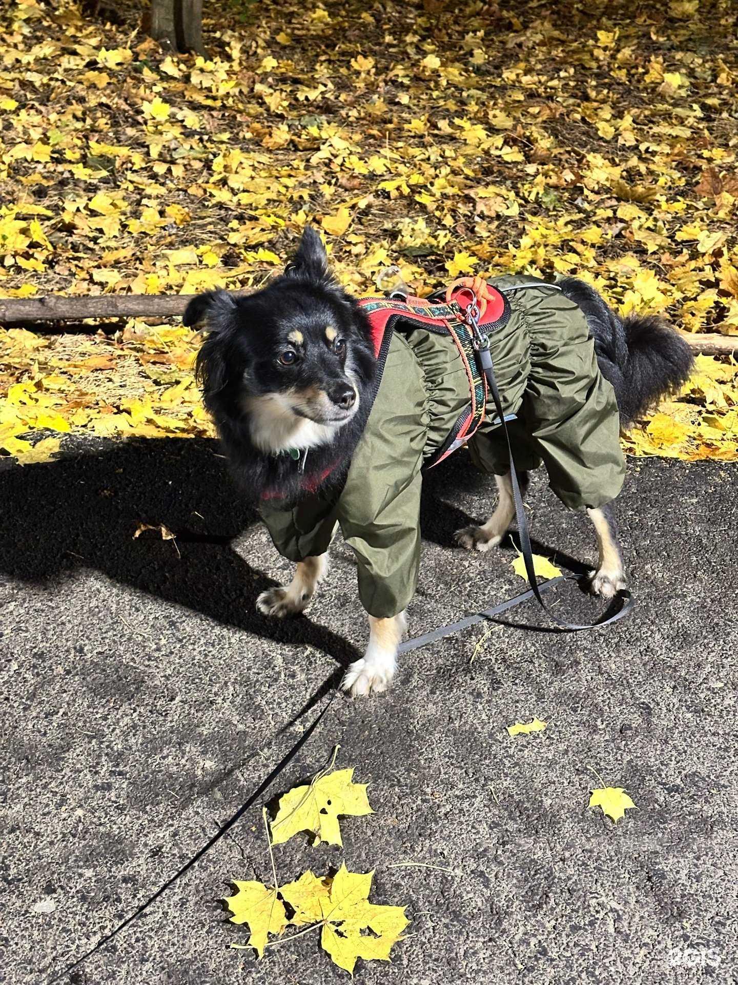 Отзывы на компанию Наш зоомаркет в Уфе c фото