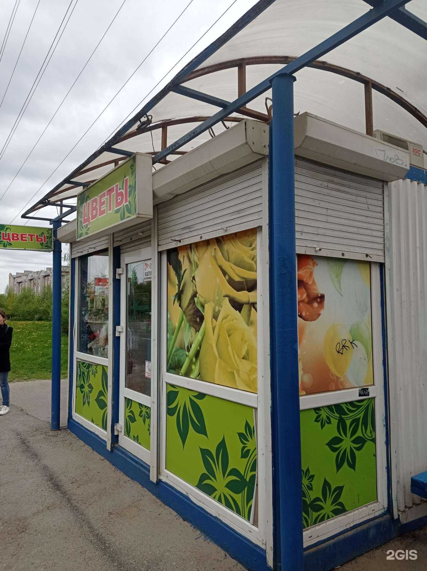 Отзывы на компанию Жасмин в Великом Новгороде c фото