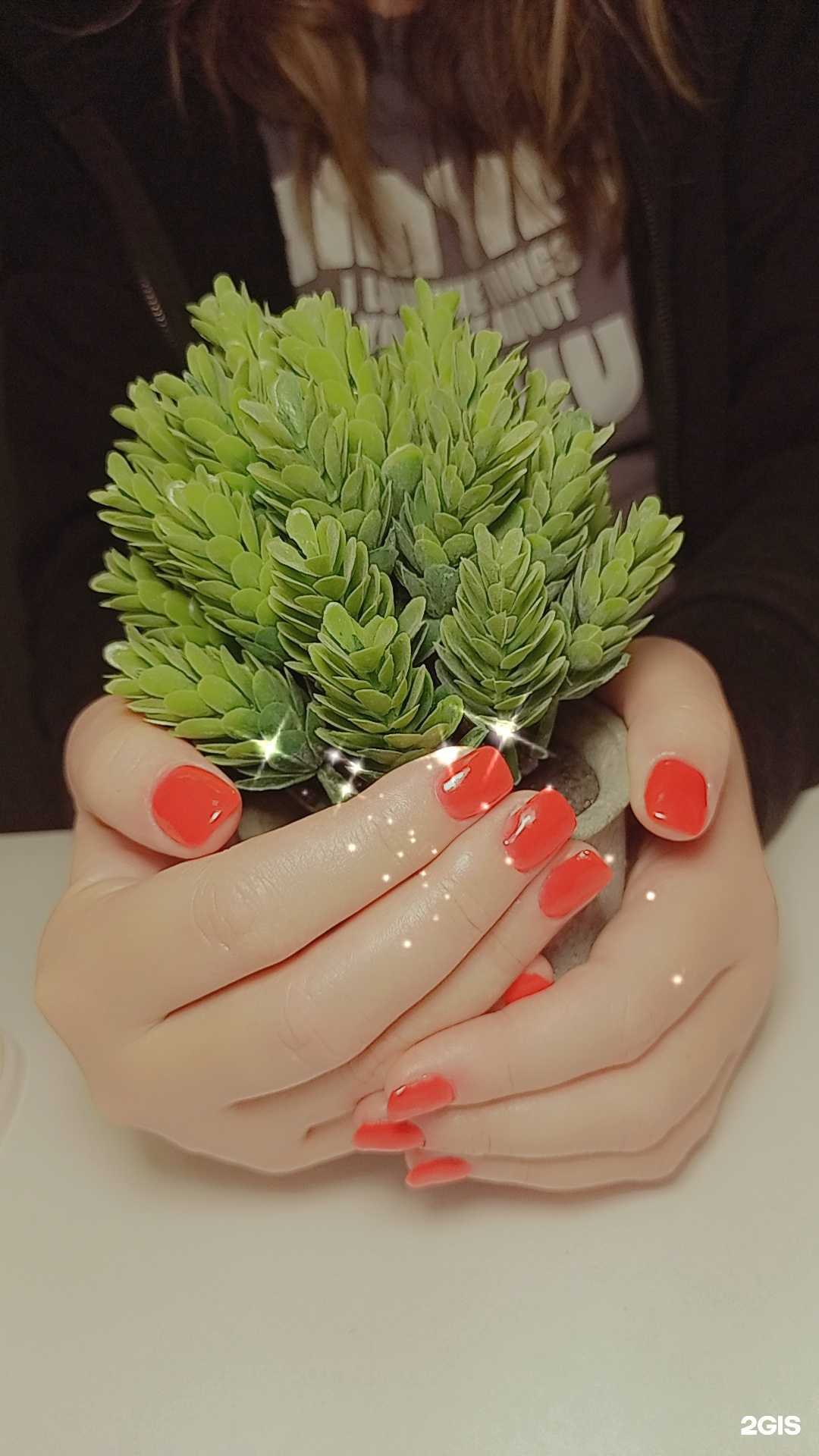 Отзывы на компанию Чёрное золото  в Новосибирске c фото