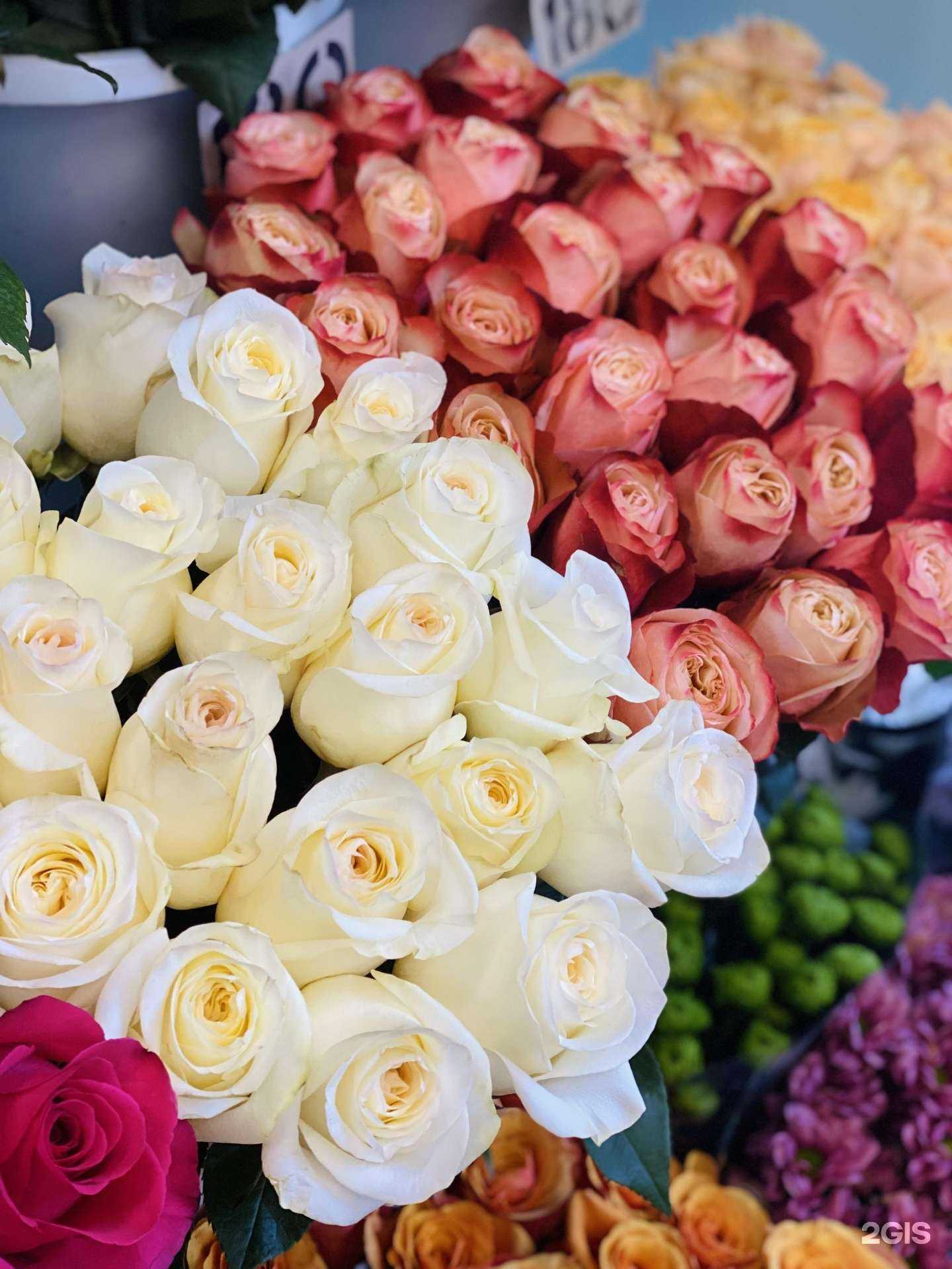 Отзывы на компанию Магазин цветов в г. Павловский Посад c фото