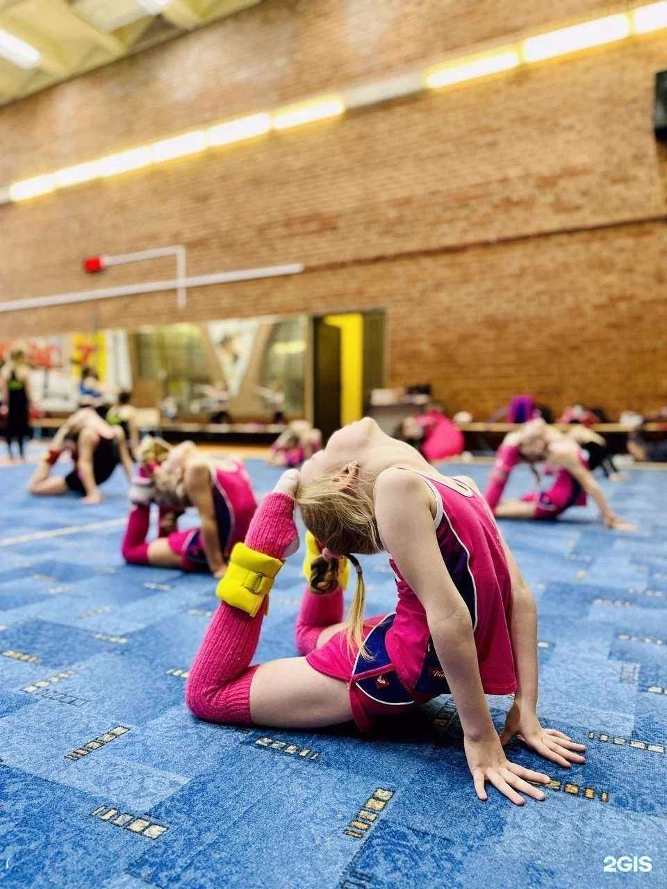 Отзывы на компанию Федерация художественной гимнастики г. Ярославля в Ярославле c фото