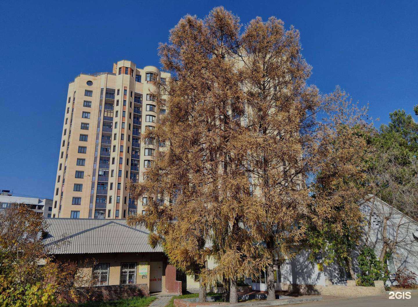 Отзывы на компанию Сказочная страна в Новосибирске c фото - фотография 2 из 2