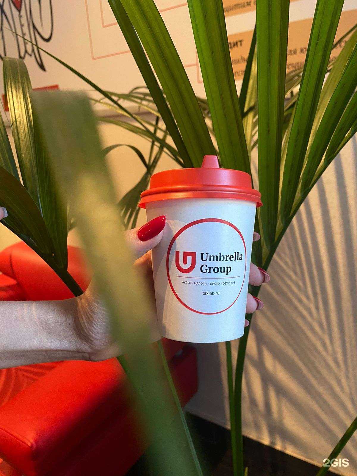 Отзывы на компанию Амбрелла Групп в г. Новосибирск c фото