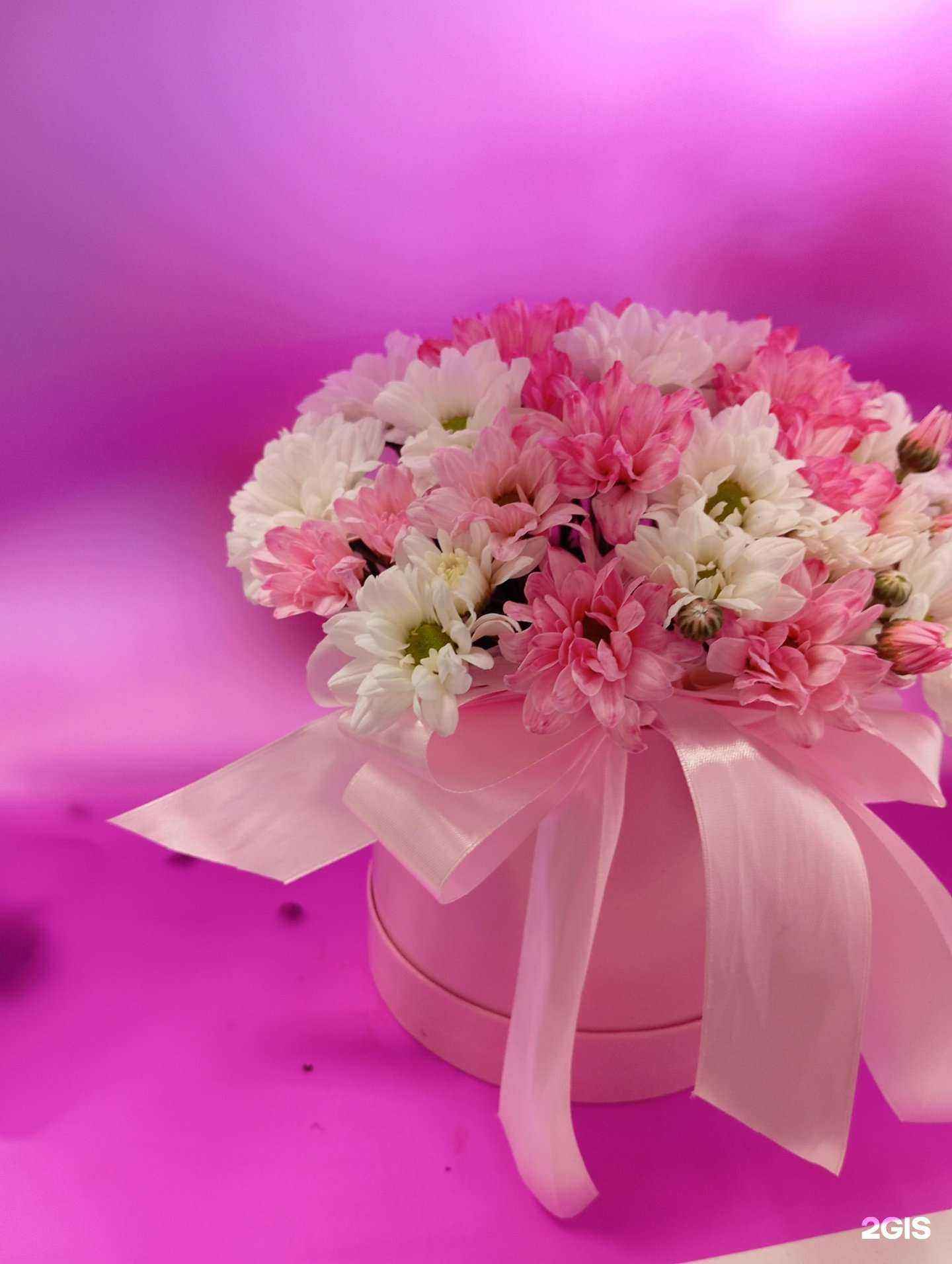 Отзывы на компанию Елена в Новосибирске c фото