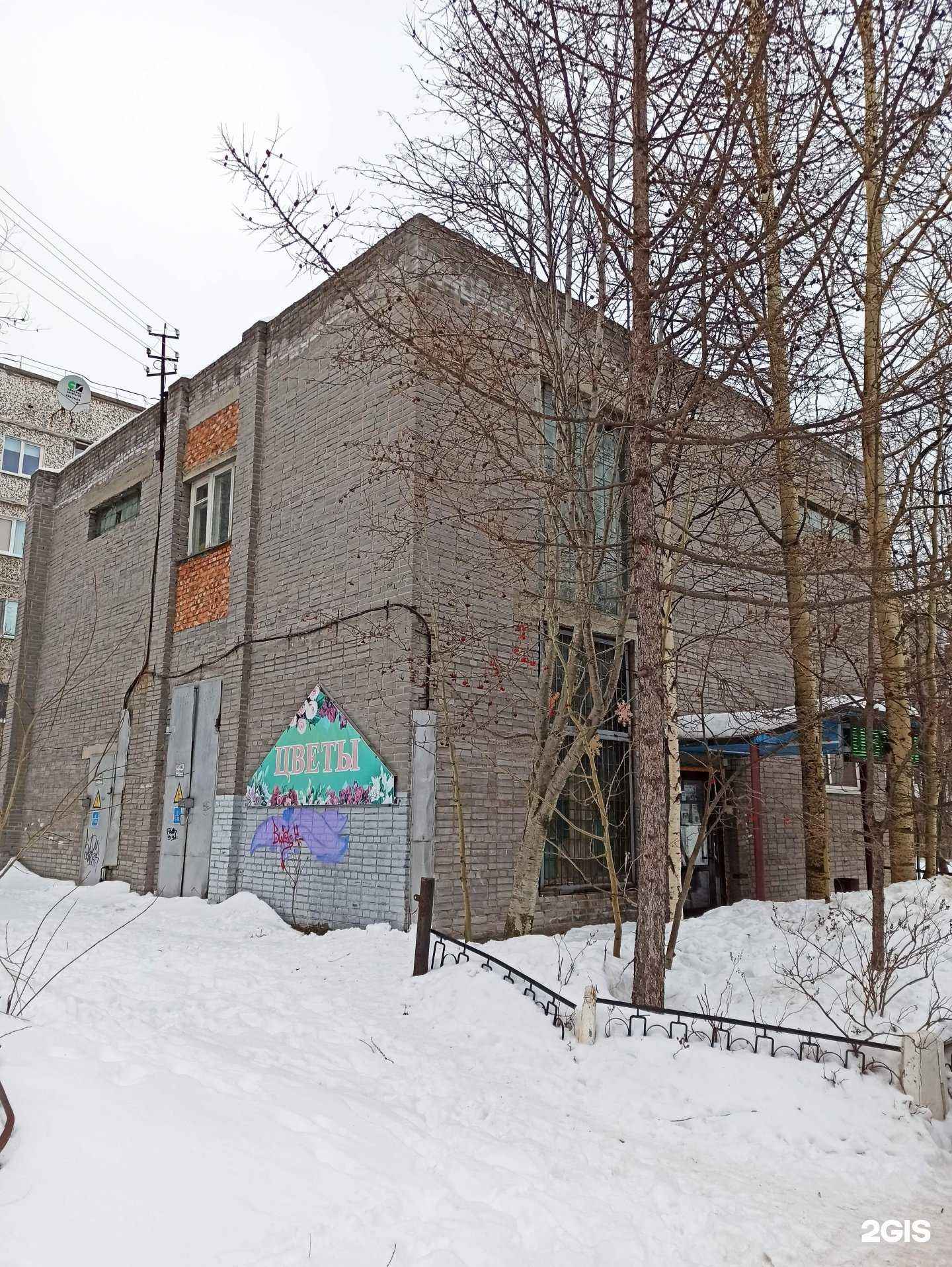 Отзывы на компанию Магнолия в Мончегорске c фото - фотография 2 из 2