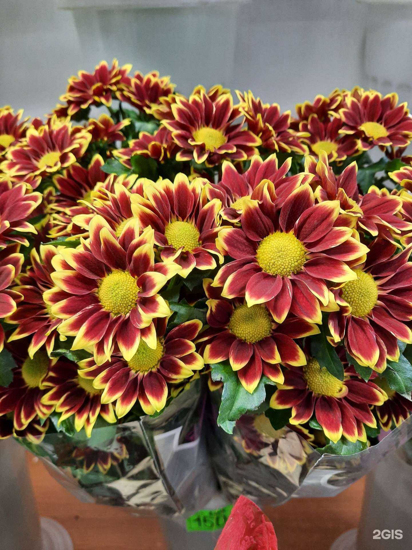 Отзывы на компанию Цветочная лавка в Барнауле c фото