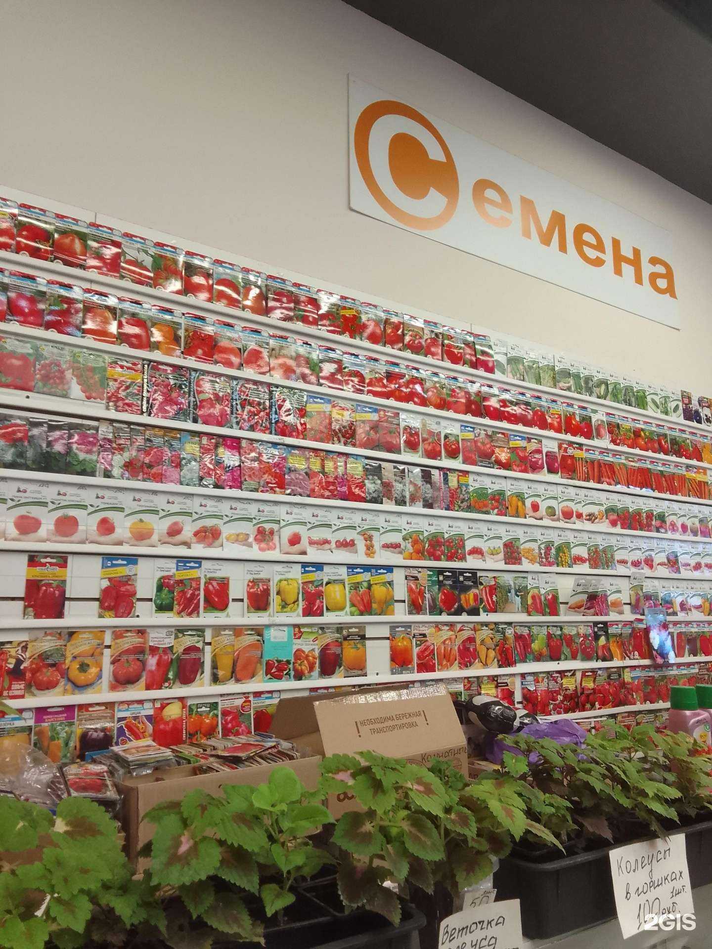 Отзывы на компанию Магазин по продаже семян в Стерлитамаке c фото