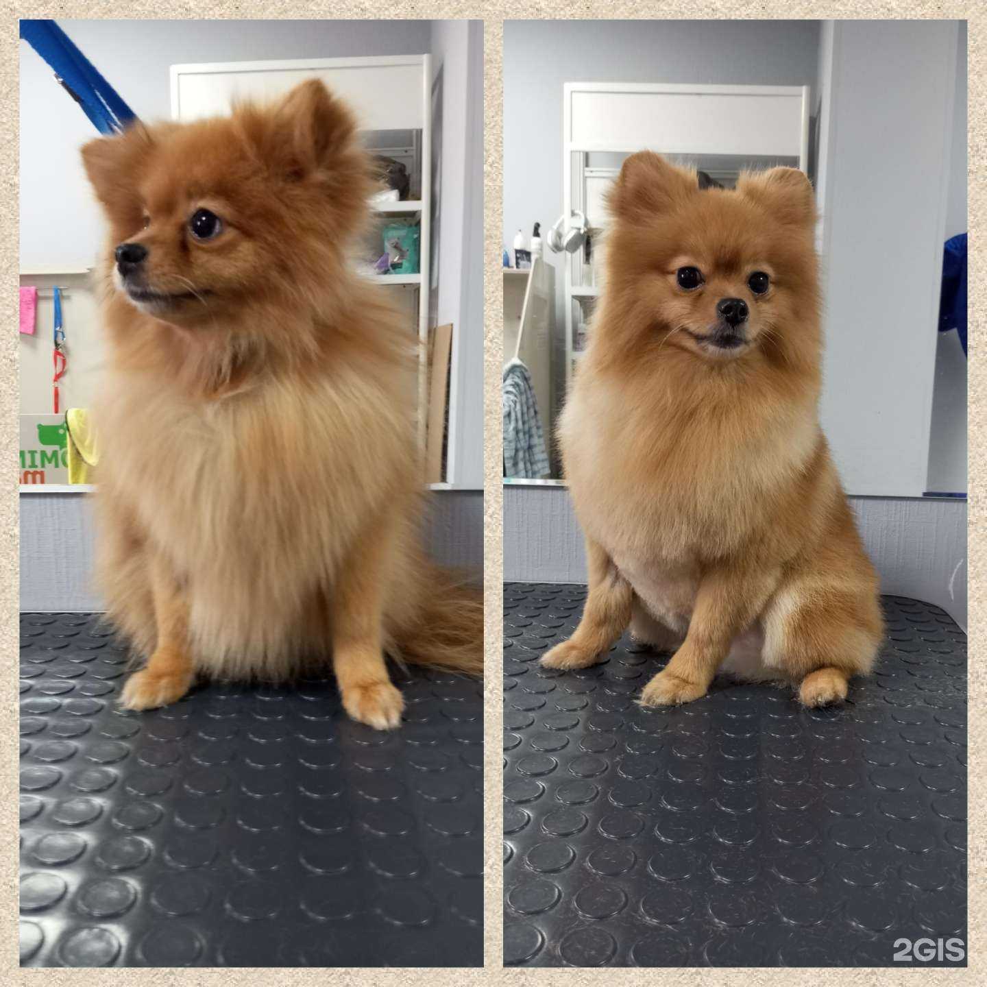 Отзывы на компанию Граф в Сургуте c фото