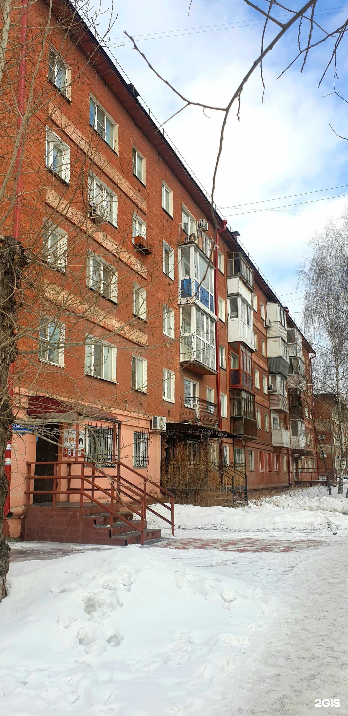 Отзывы на компанию King-zoo.ru в Омске c фото - фотография 2 из 2