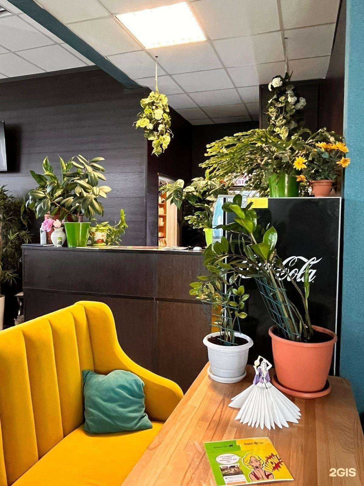 Отзывы на компанию Восток в г. Новый Уренгой c фото