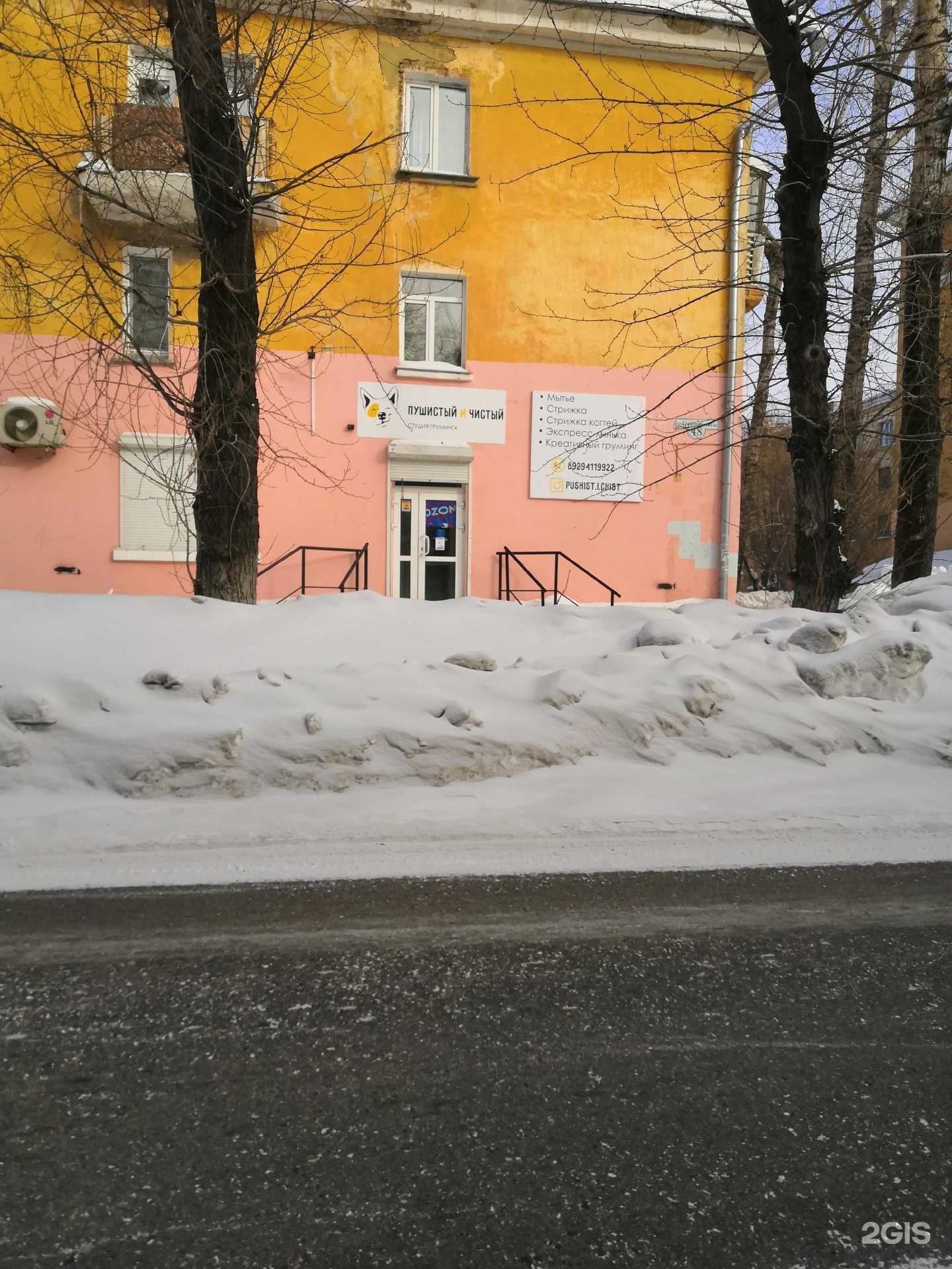 Отзывы на компанию Пушистый и Чистый в Комсомольске-на-Амуре c фото - фотография 2 из 2