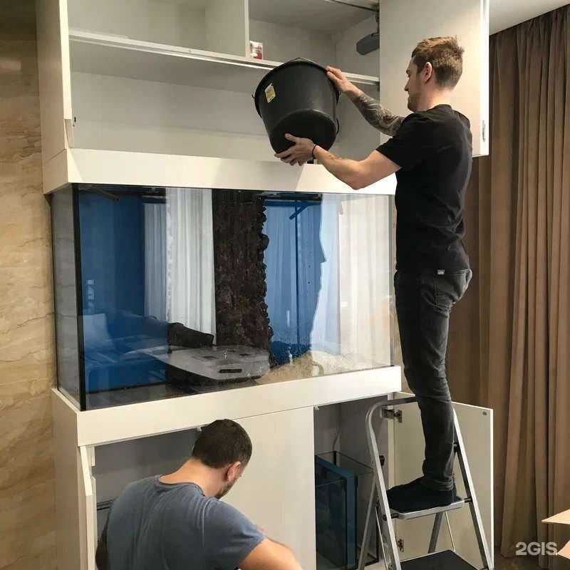 Отзывы на компанию Твой аквариум в г. Коммунарка c фото