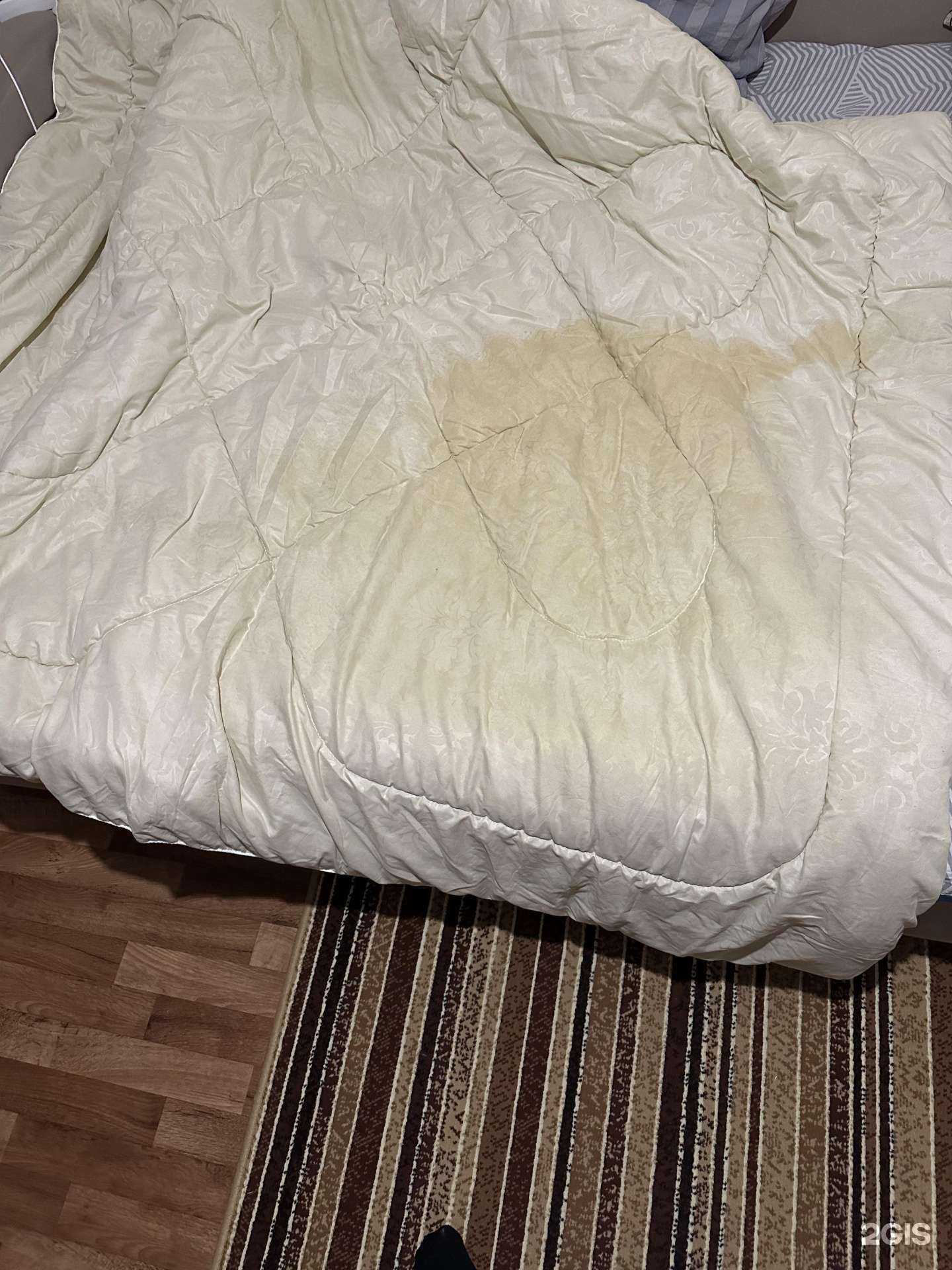 Отзывы на компанию Енисей в Красноярске c фото