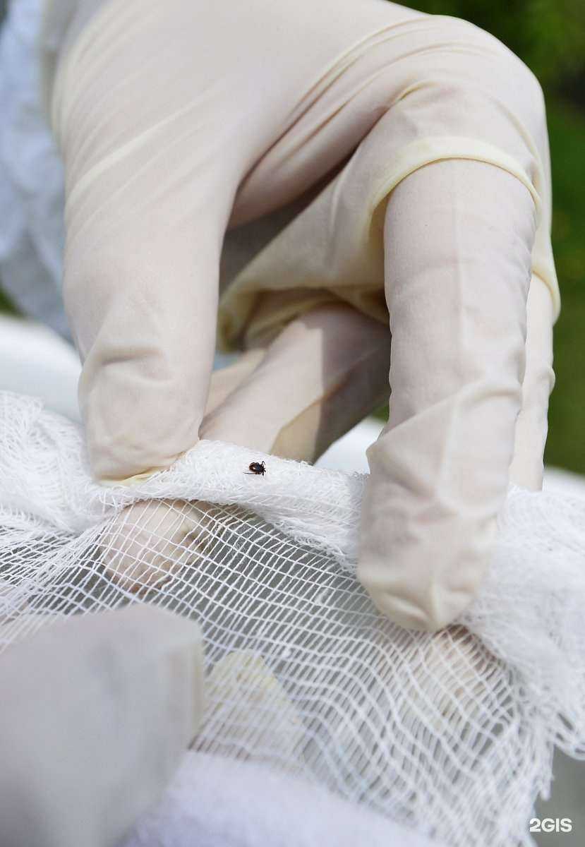 Отзывы на компанию Тонус-вк в Владивостоке c фото