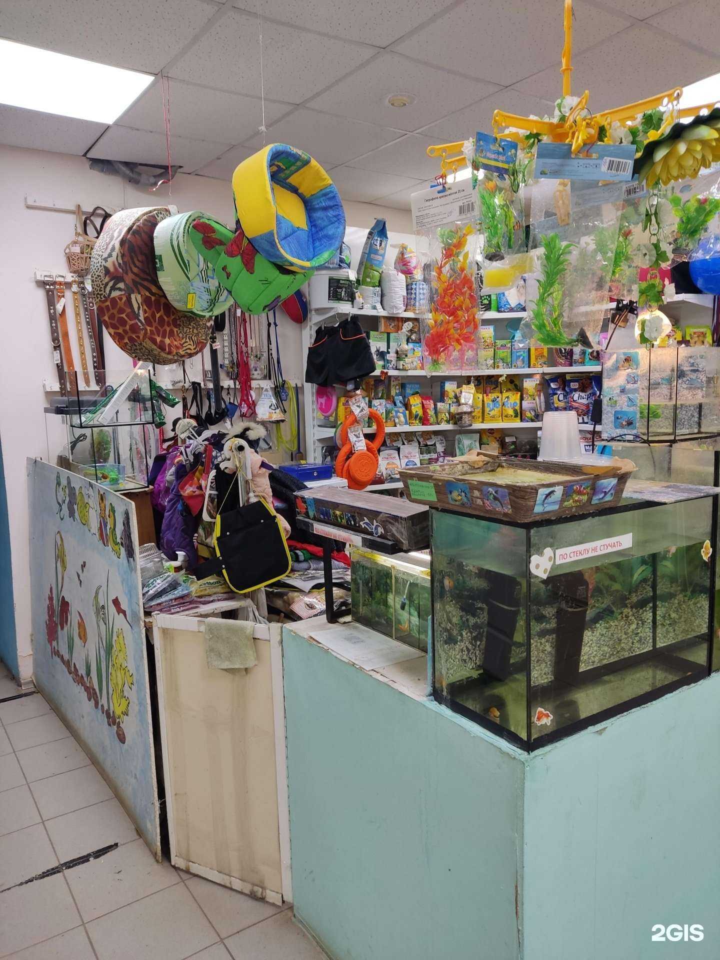 Отзывы на компанию Магазин зоотоваров в г. Добрянка c фото