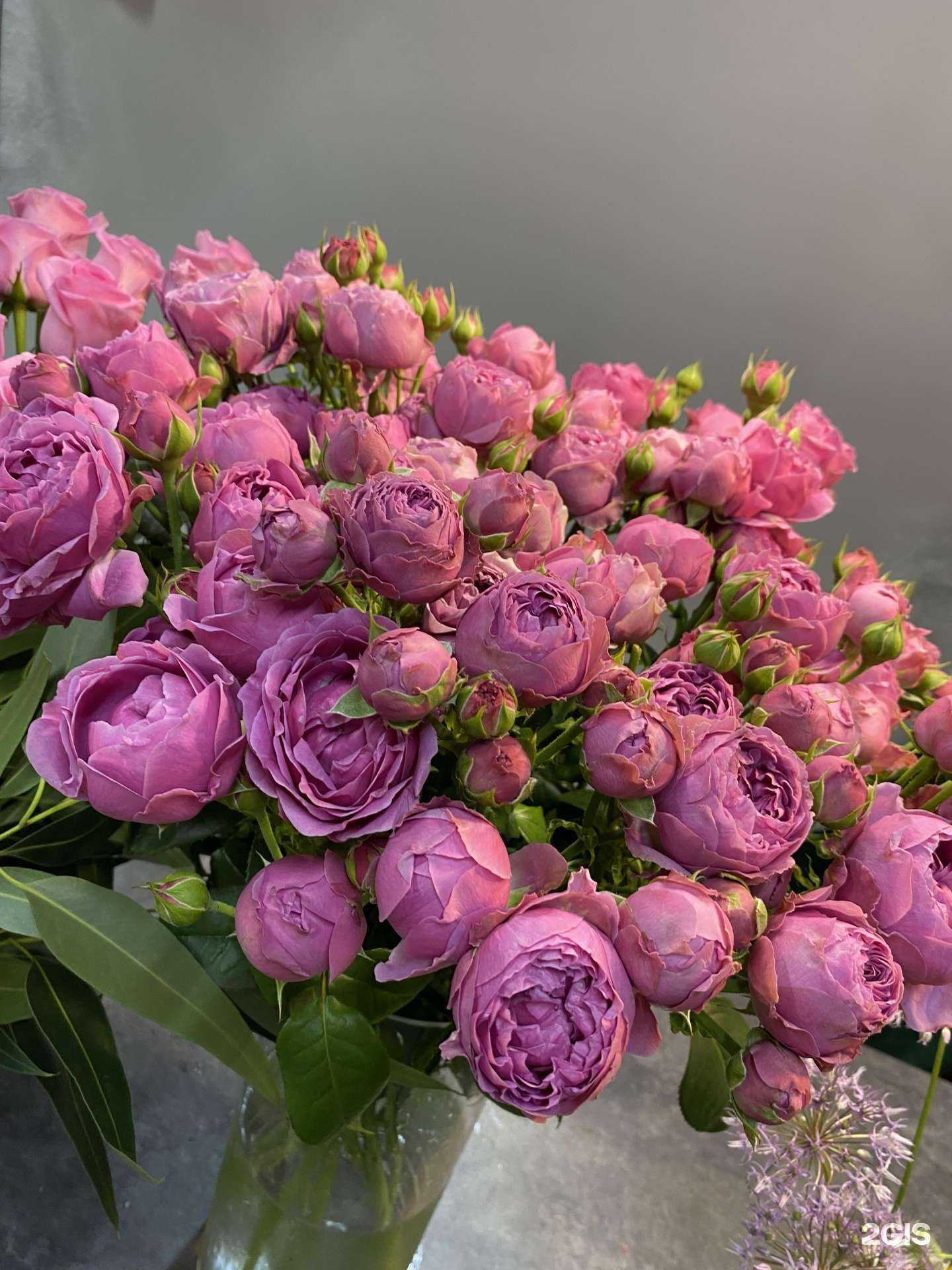 Отзывы на компанию Улица Роз в Барнауле c фото