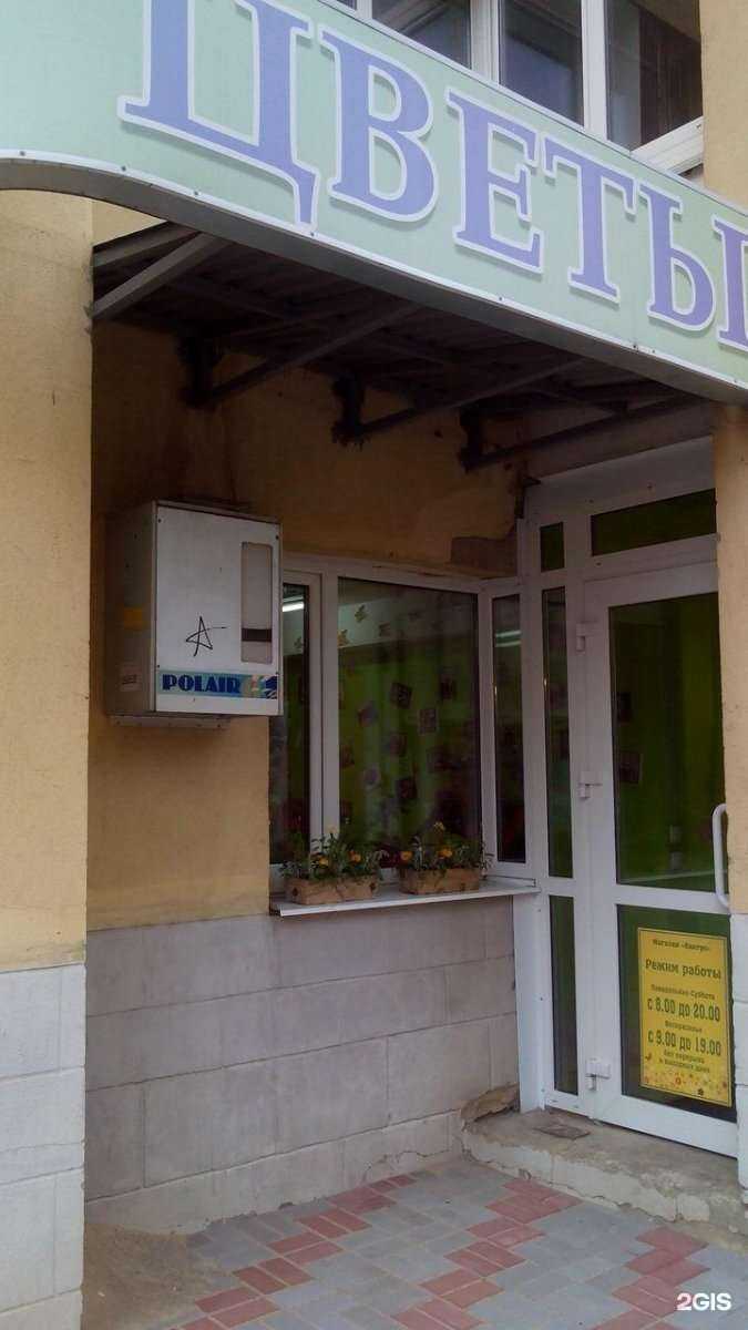 Отзывы на компанию Кактус в г. Тамбов c фото