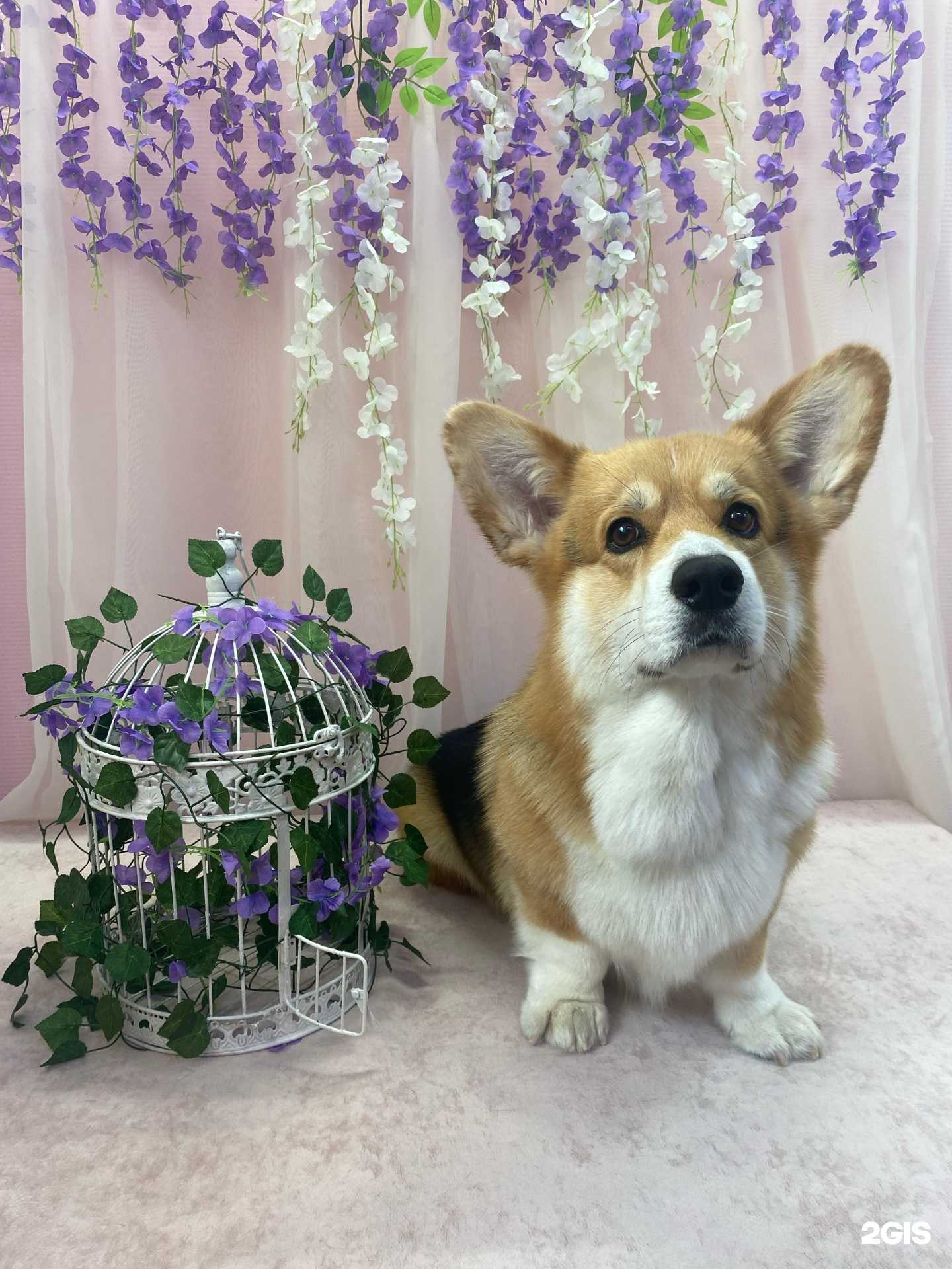 Отзывы на компанию Модный друг в Барнауле c фото