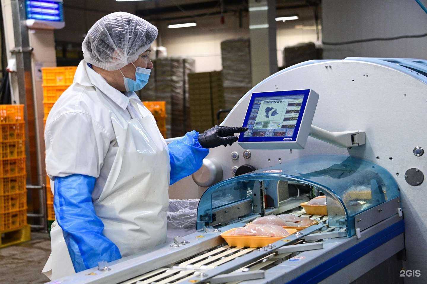 Отзывы на компанию Михайловский бройлер в г. Артём c фото