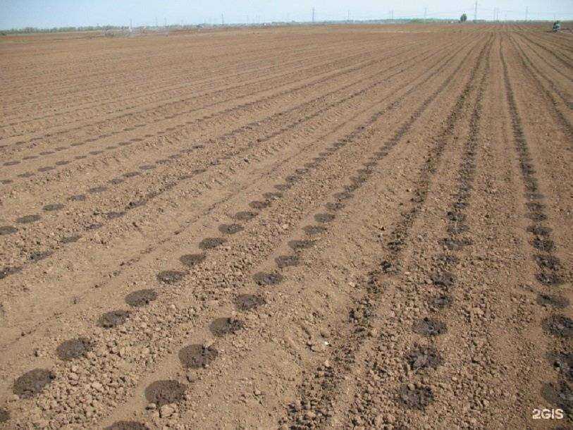 Отзывы на компанию Русское поле в г. Волгоград c фото