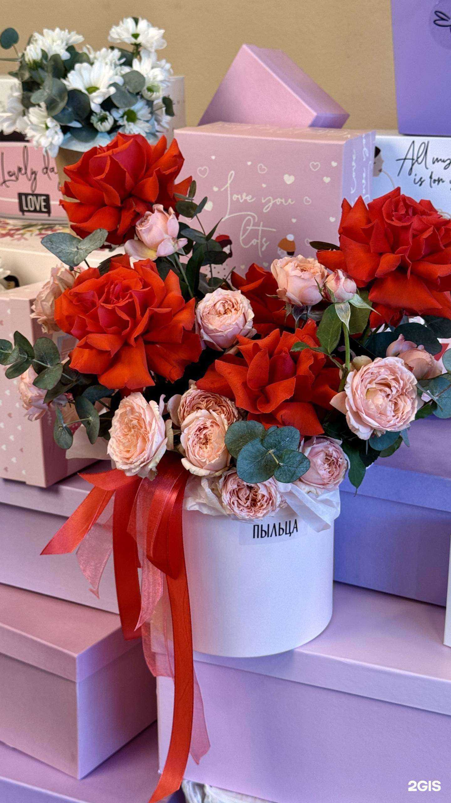 Отзывы на компанию Пыльца в г. Красноярск c фото