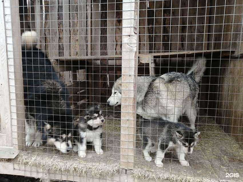 Отзывы на компанию АПХ Русь в Оренбурге c фото