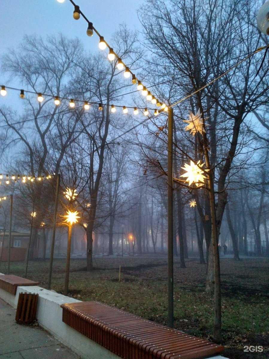 Отзывы на компанию Джунгли в Ростове-на-Дону c фото - фотография 2 из 2