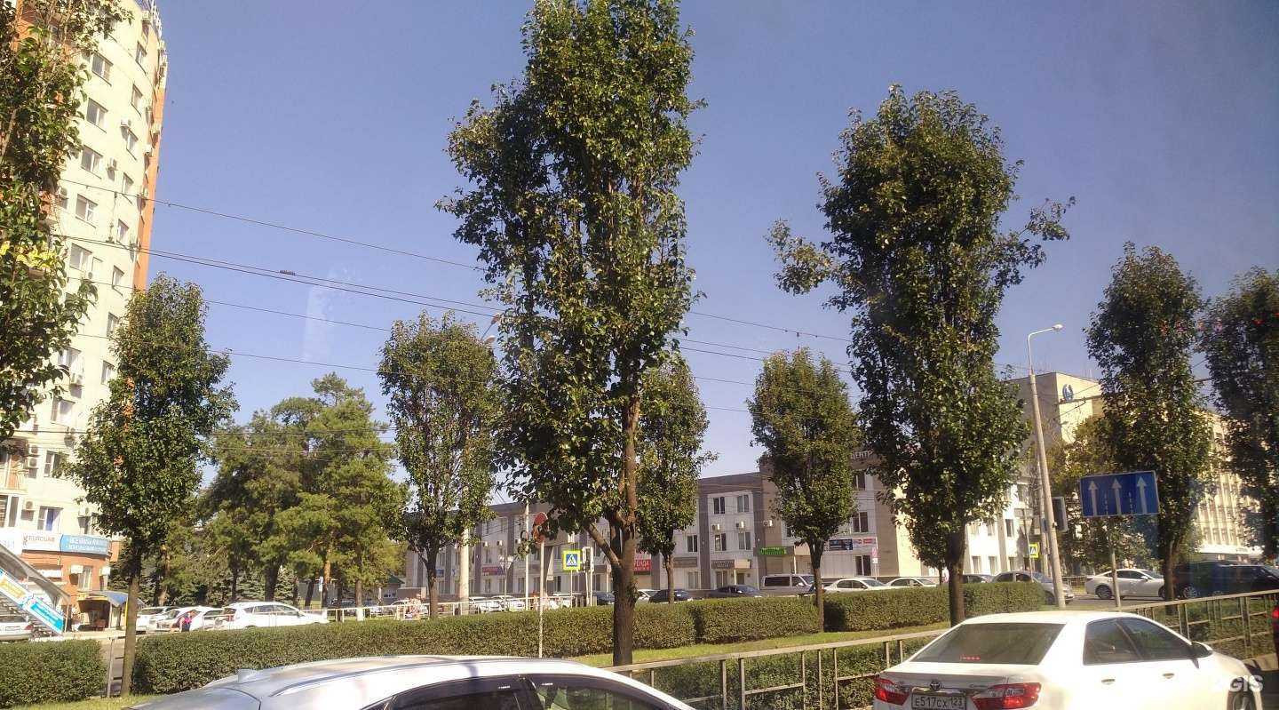 Отзывы на компанию БизнесПромГрупп в Краснодаре c фото