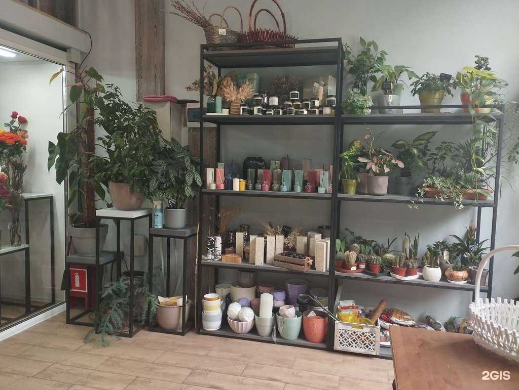 Отзывы на компанию Фиалка в г. Коммунарка c фото