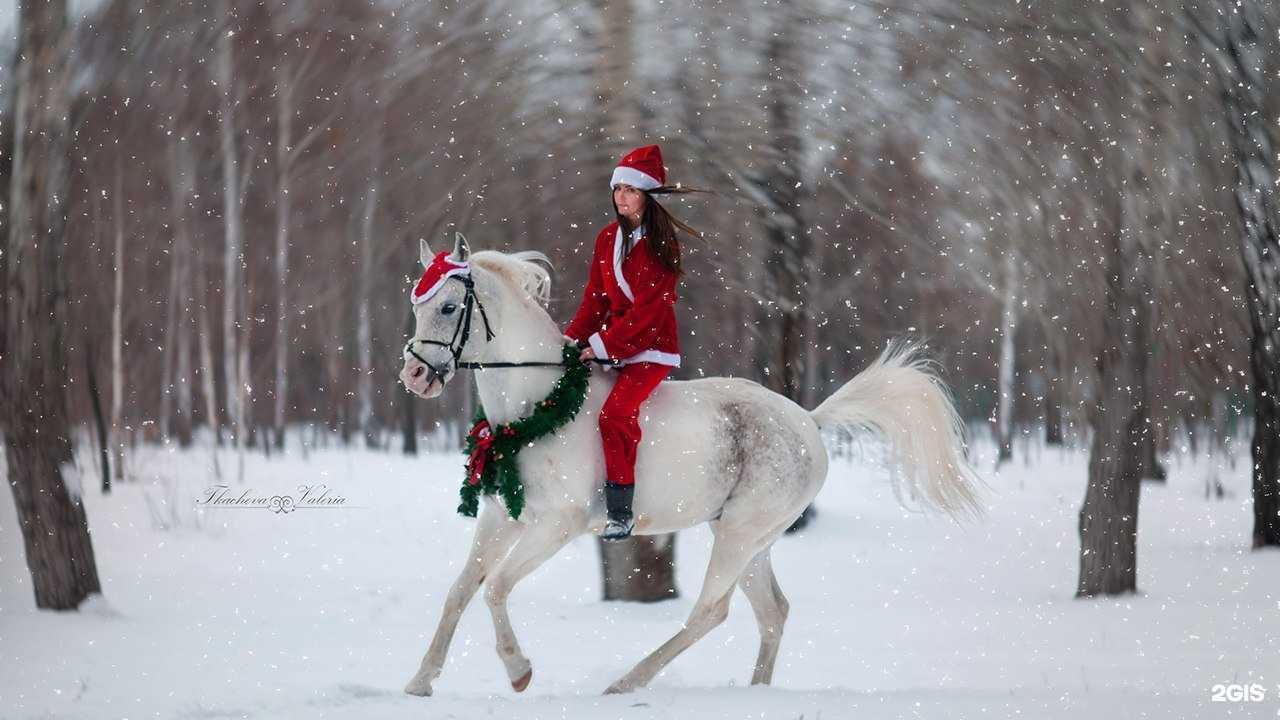 Отзывы на компанию Карусель в г. Омск c фото