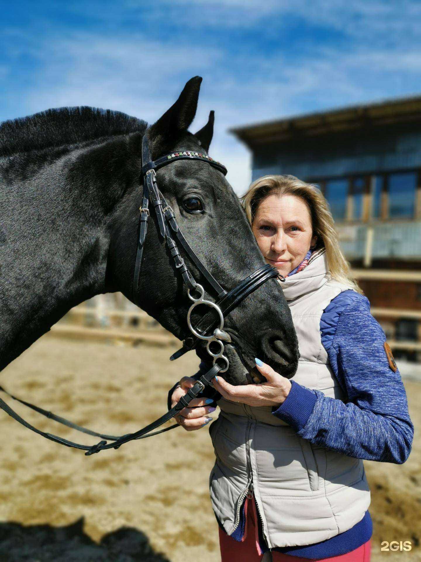 Отзывы на компанию Зевс в Хабаровске c фото