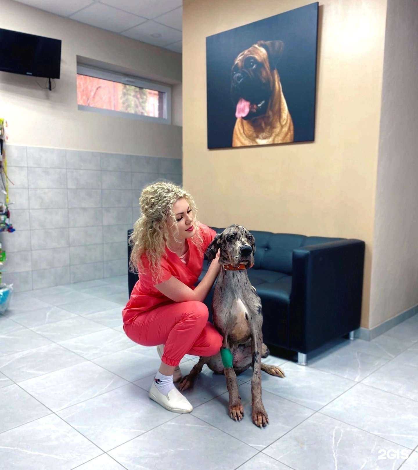 Отзывы на компанию Ветконтроль в г. Воронеж c фото