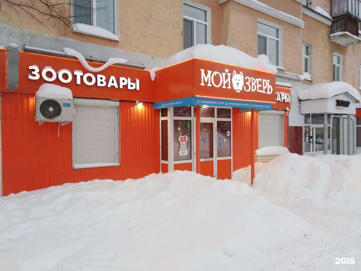 Отзывы на компанию Мой зверь в Березниках c фото