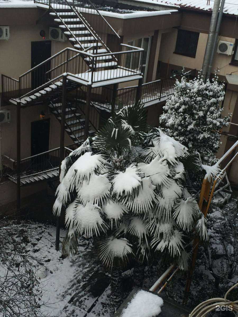 Отзывы на компанию CyberSpace в Сочи c фото - фотография 2 из 2