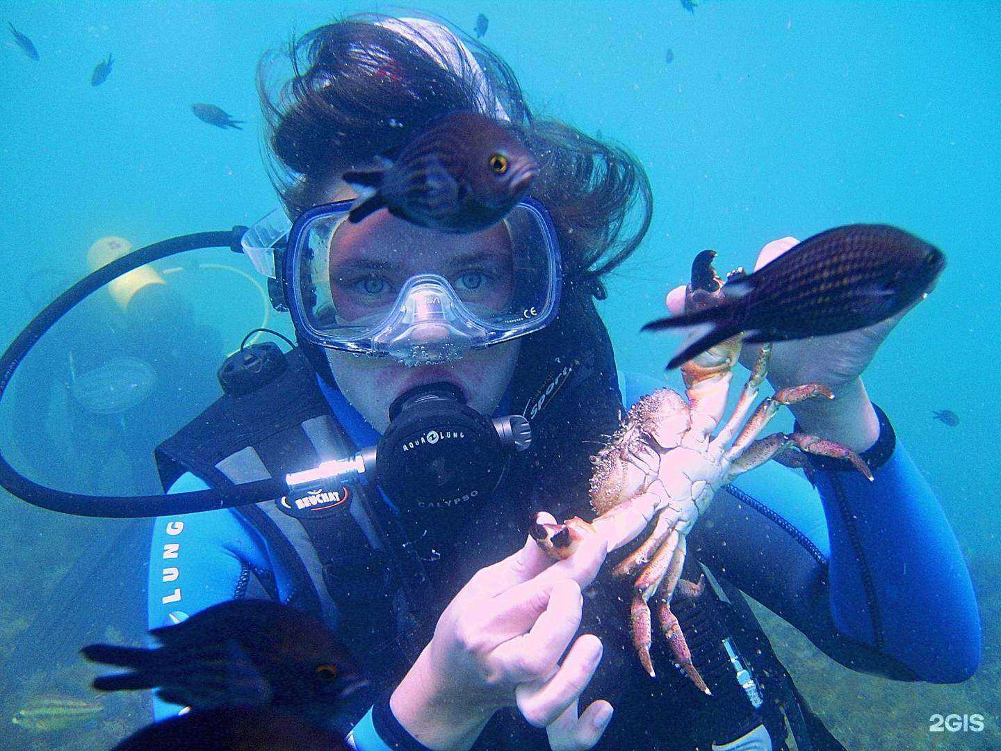 Отзывы на компанию Урал в г. Геленджик c фото